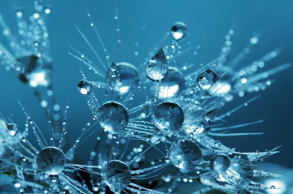 What Is Colloidal Silver? product photo