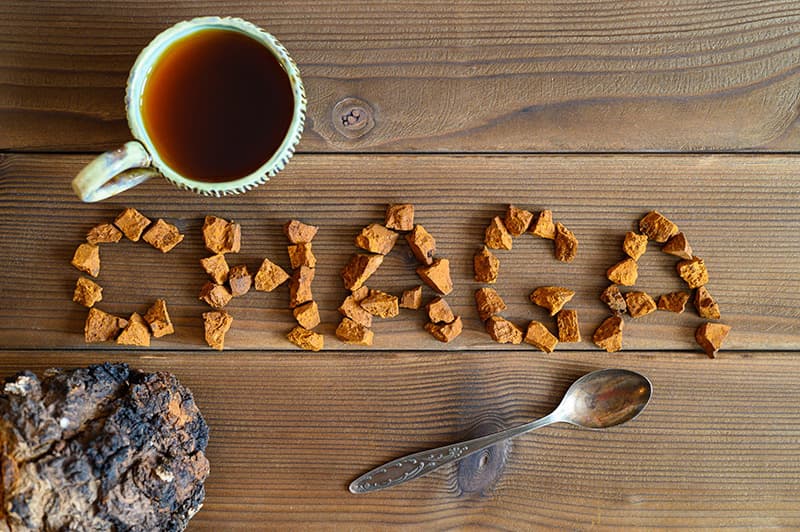 What is Siberian Chaga product photo