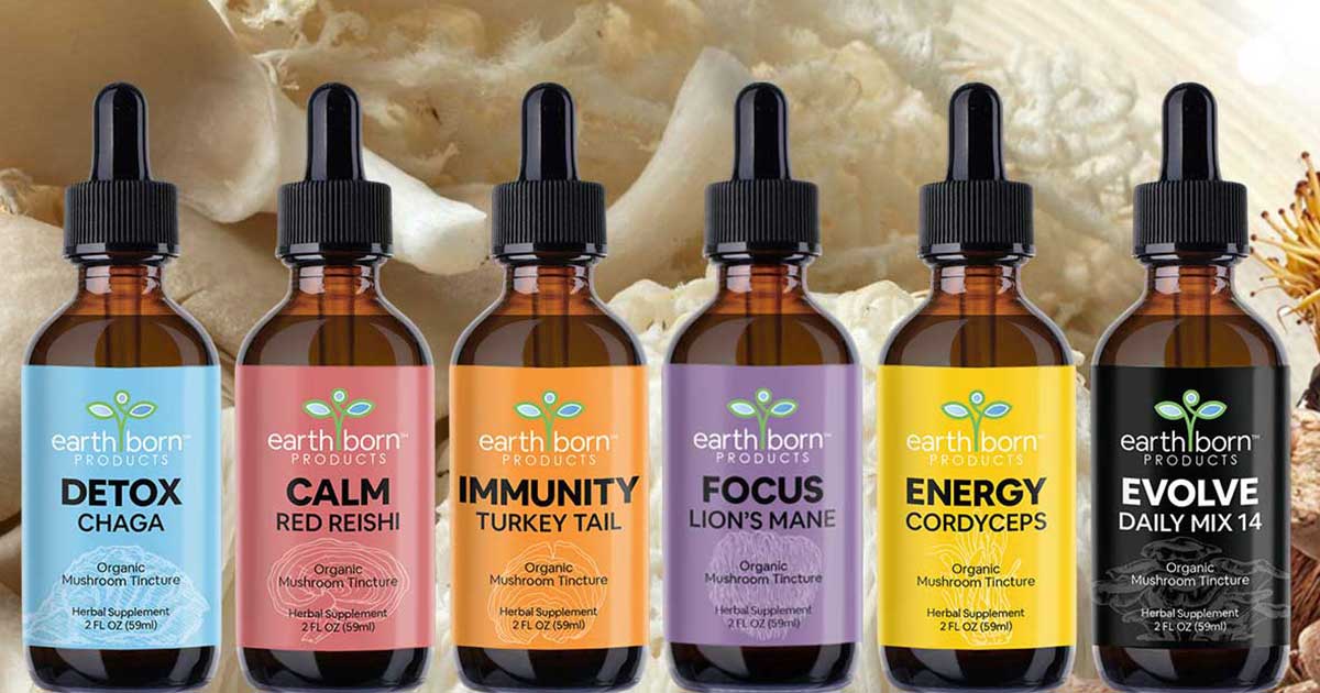 Mushroom – Superfood product photo