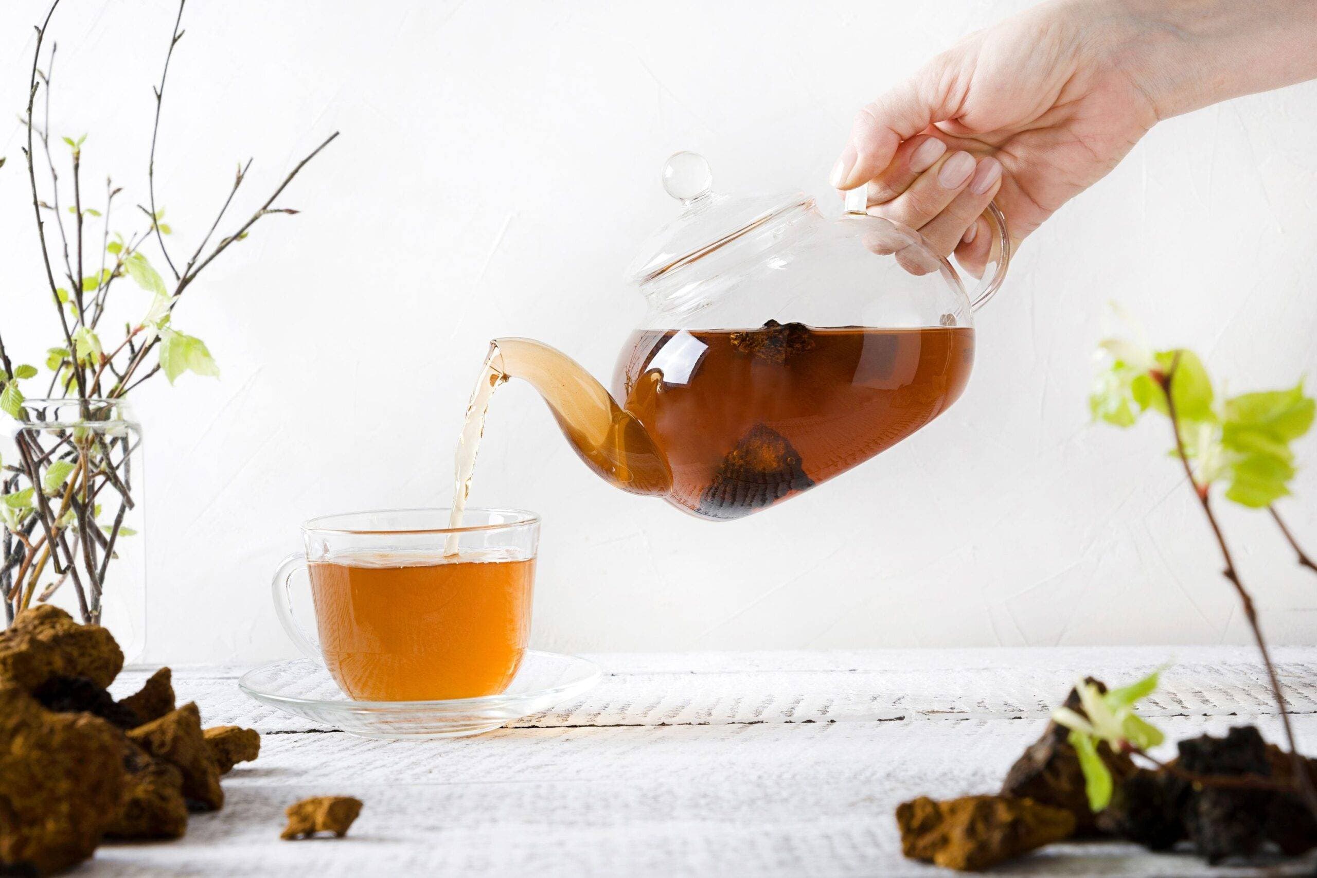 Support Your Immune System Naturally with Chaga Mushrooms product photo