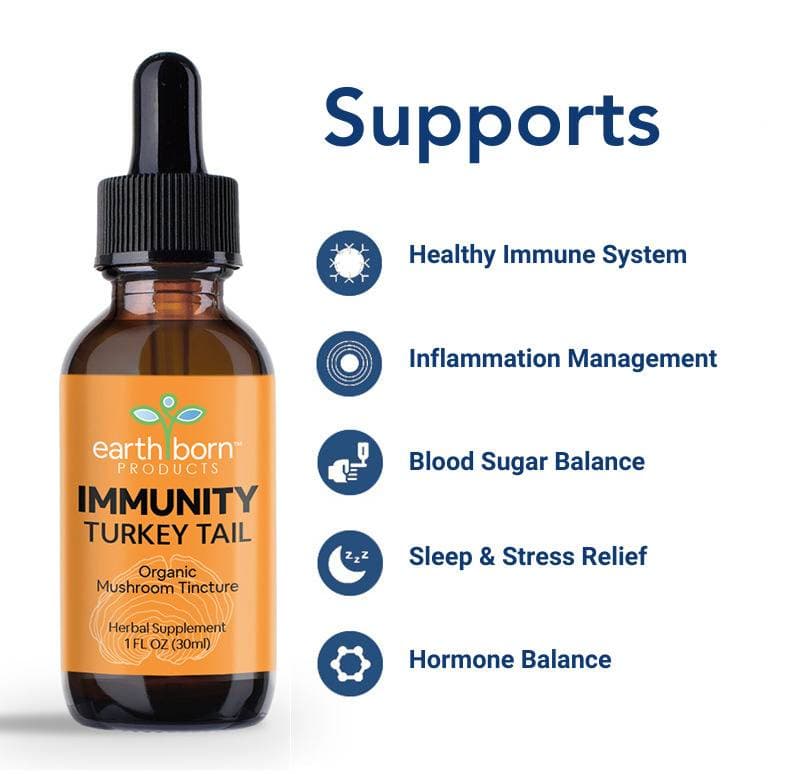 Turkey Tail Mushroom Tincture product photo