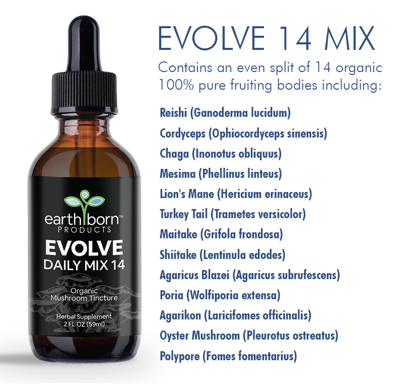 EVOLVE 14 Mushroom Blend Benefits product photo