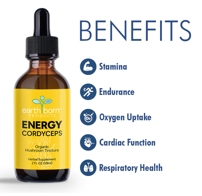 Cordyceps Mushroom Tincture Benefits product photo