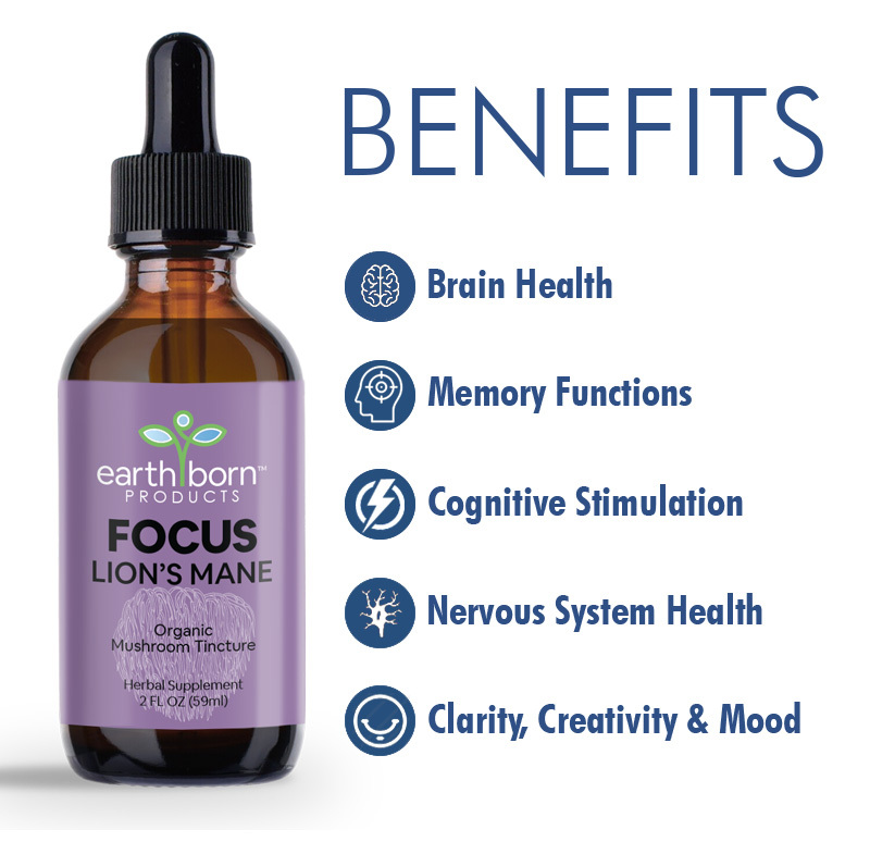 Lion's Mane Mushroom Tincture Benefits product photo