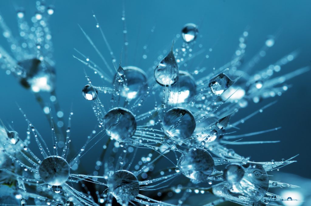 What is Colloidal Silver