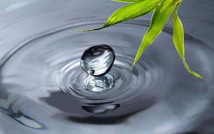About Our Colloidal Silver