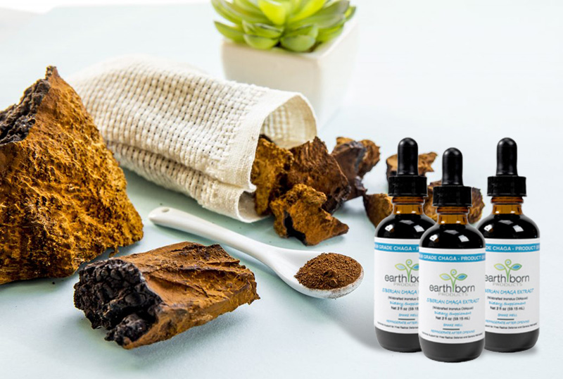 Why use Siberian Chaga Extract