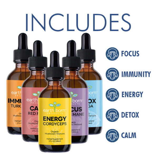 mushrooms total wellness tincture set earthborn products