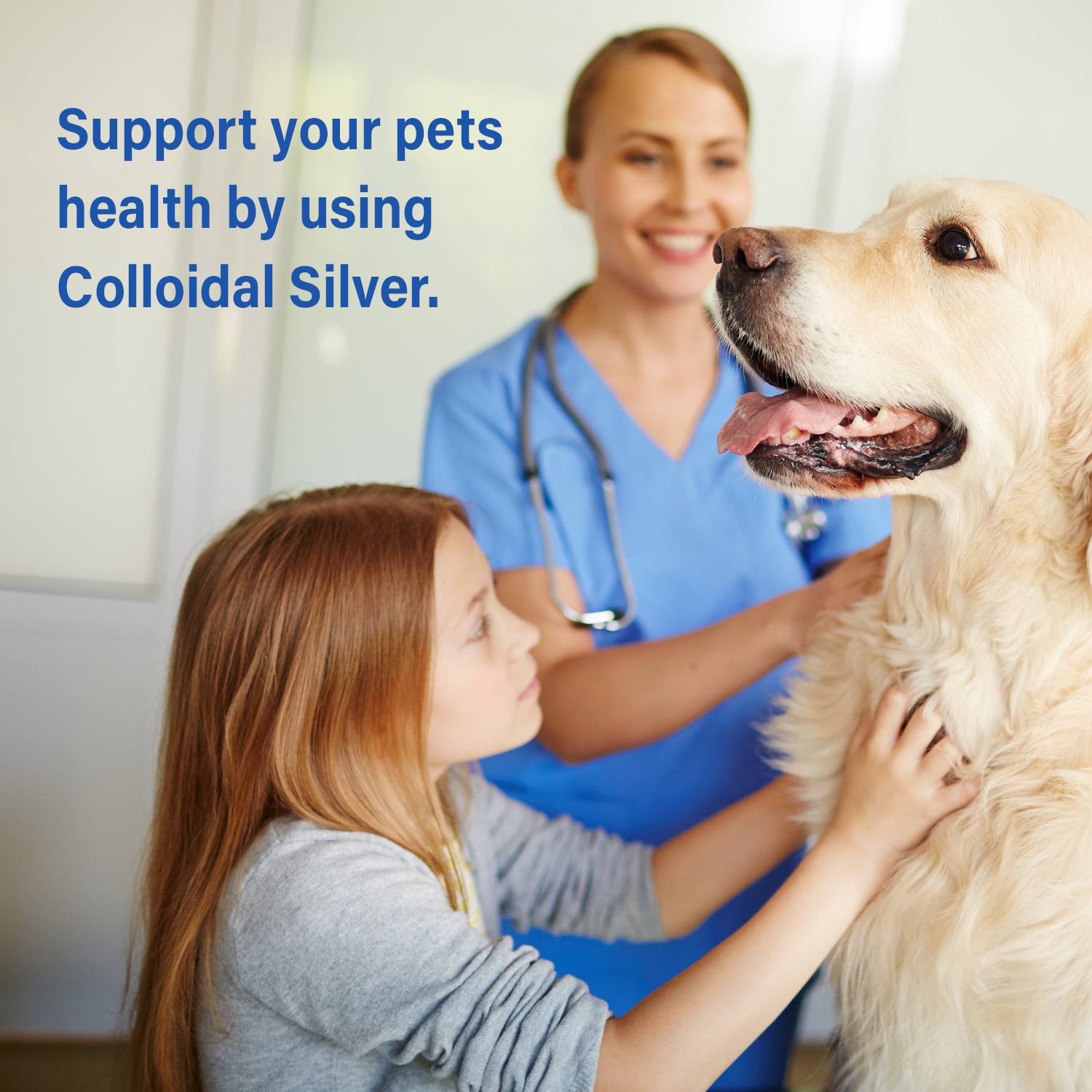 Colloidal Silver Supports Pet Health