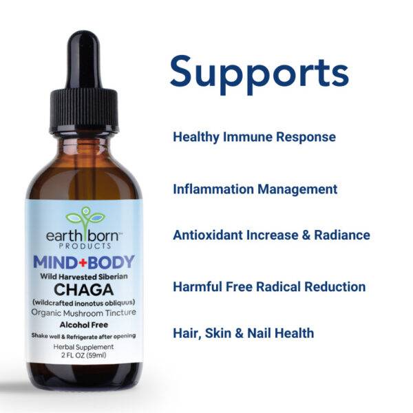 Mushroom – Superfood