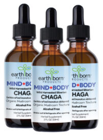 chaga