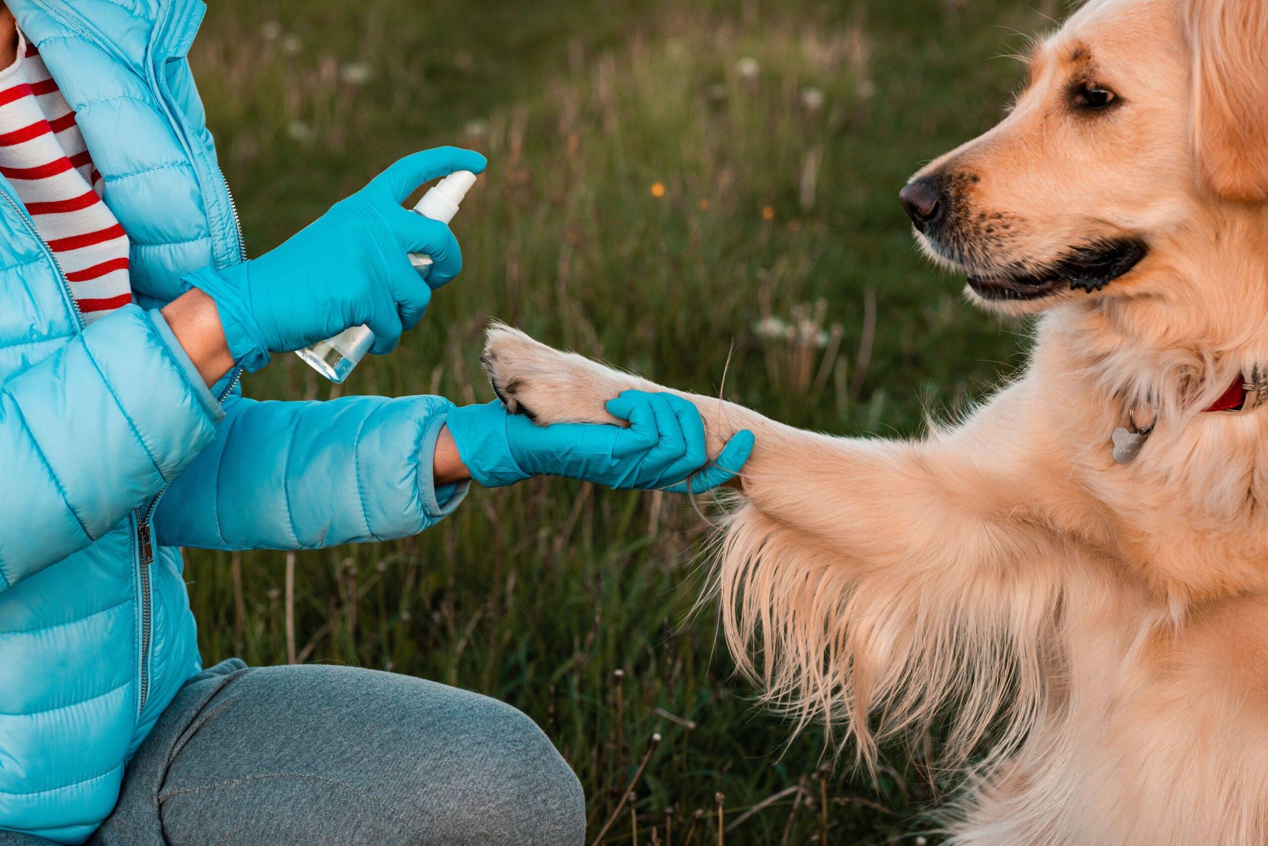 Colloidal Silver: A Natural Antibacterial and Antifungal Remedy for Pet Wounds and Bites